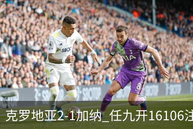 克罗地亚2-1加纳 任九开16106注914元