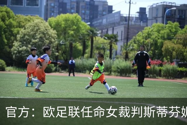 官方：欧足联任命女裁判斯蒂芬妮·弗拉帕尔为裁判委员会裁判官